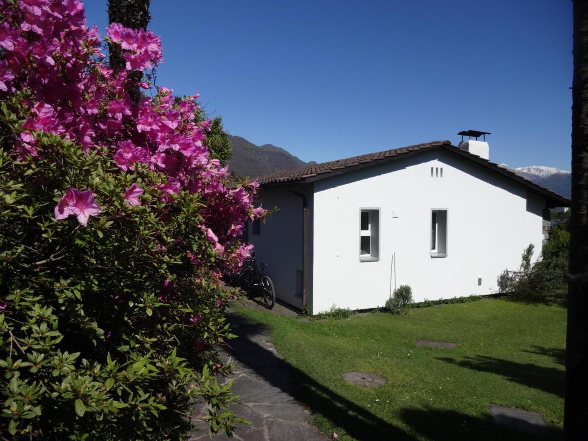 Residenza Paradiso di Vacanze Minusio Esterno foto