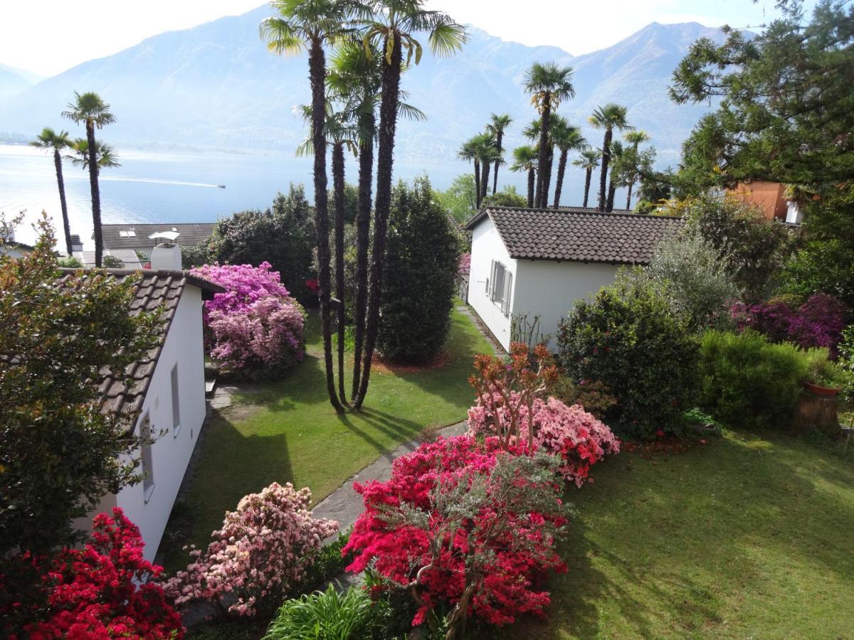 Residenza Paradiso di Vacanze Minusio Esterno foto