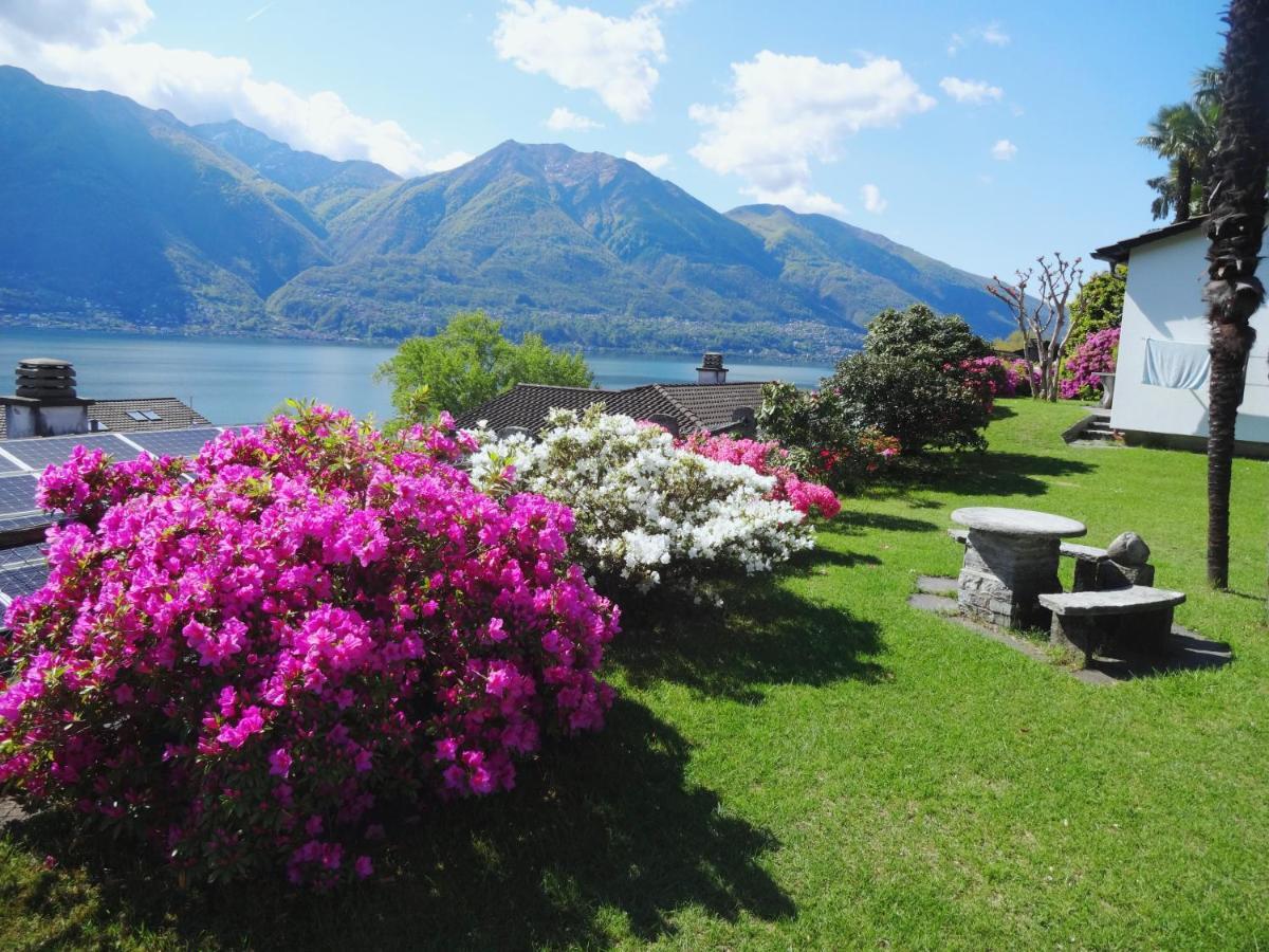 Residenza Paradiso di Vacanze Minusio Esterno foto