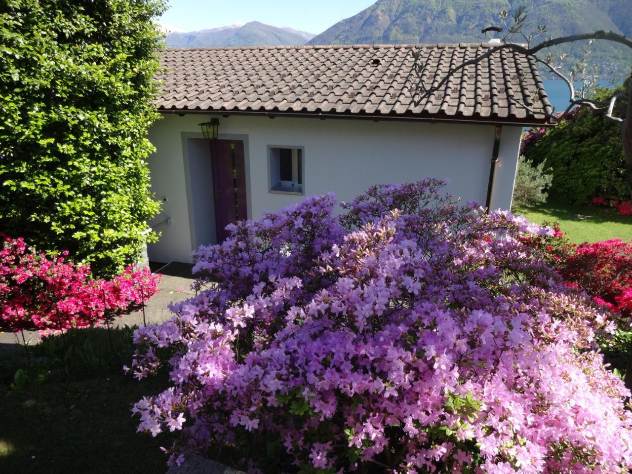 Residenza Paradiso di Vacanze Minusio Esterno foto